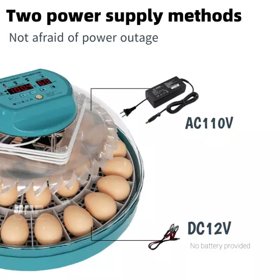 Egg Incubator Intelligent Incubator for Chicken Eggs with Automatic Humidity C