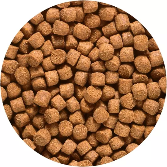 Premium 2.2 lb Cichlid Gold Pellets - Enhances Colors & Supports Fish Health