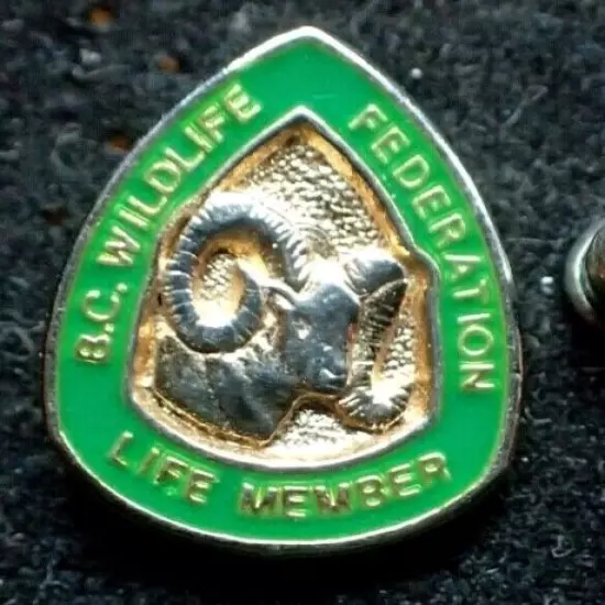 BC Wildlife Federation Life Member Pin