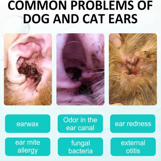 Dog Ear Cleaner, Ear Infection Treatment for Dogs and Cats, Pet Removal Ear Hair