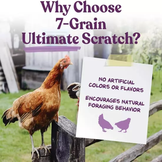 Manna Pro 7-Grain Ultimate Chicken Scratch - Scratch Grain Treat for Chickens an