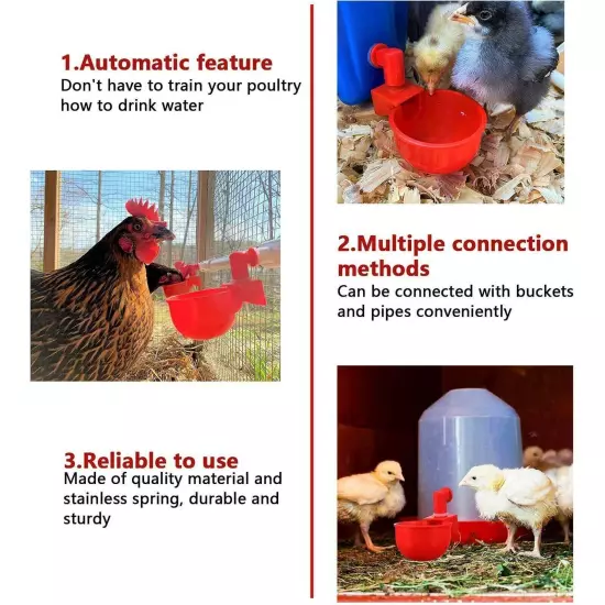 Automatic Cups Chicken Water Cup Bowl Feeder Drinker Waterer Poultry Chook Bird