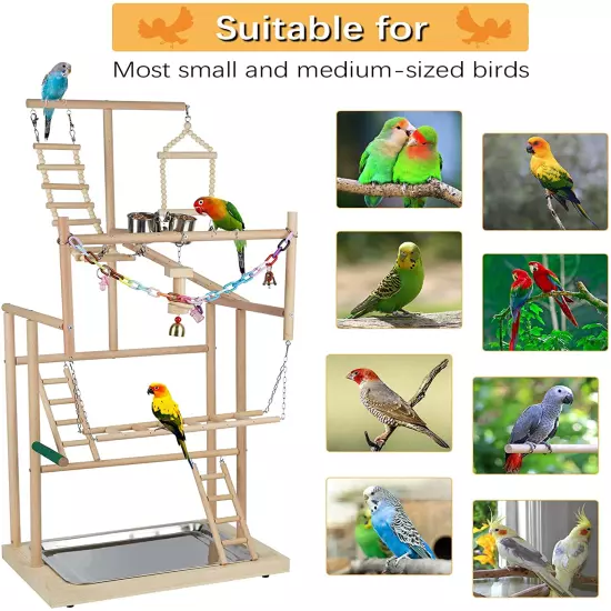 Pet Parrot Playstand Parrots Bird Playground Bird Play Stand Wood Perch Gym Play