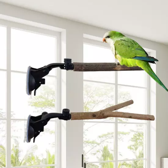 Parrot Perch Birdcage Accessories Perches Stand Perch Suction Wood Cup Bird Toy