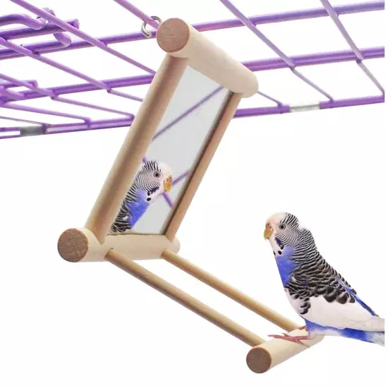 Bird Toy for Parrot Parakeets Conures Cockatiels Cage Swing Wooden Mirror Fun...