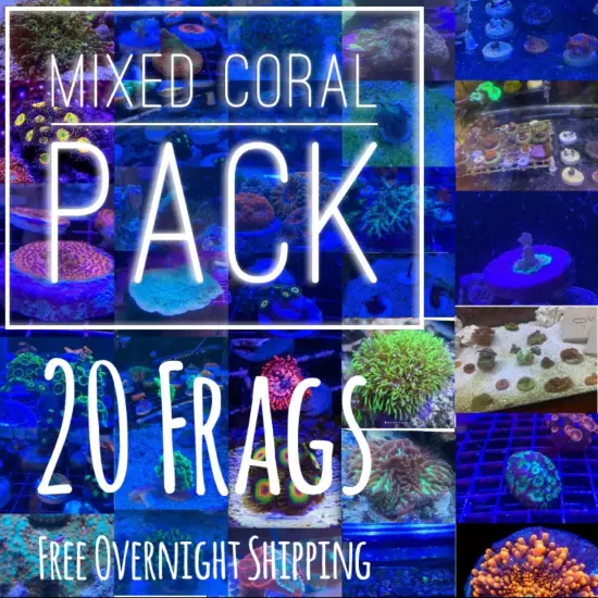 Frag pack live coral 20 Mixed Frags! Free Overnight Shipping