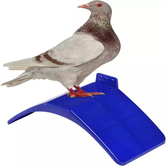 Coloch 20 Pcs Dove Rest Stand, Lightweight Pigeon Perches Plastic Birds blue 