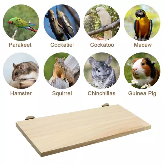 Parrot Bird Wood Perch Platform Large Stand Shelf for Birds Budgie Parakeet C...