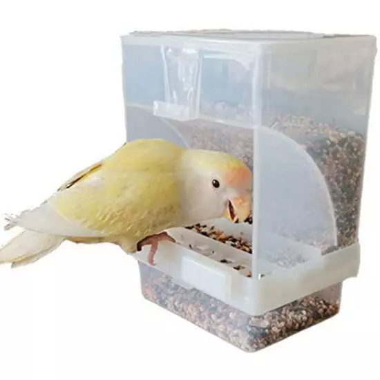 1 Pcs Automatic Bird Feeder Bird Feeder Cage Accessories Automatic Feed Cage