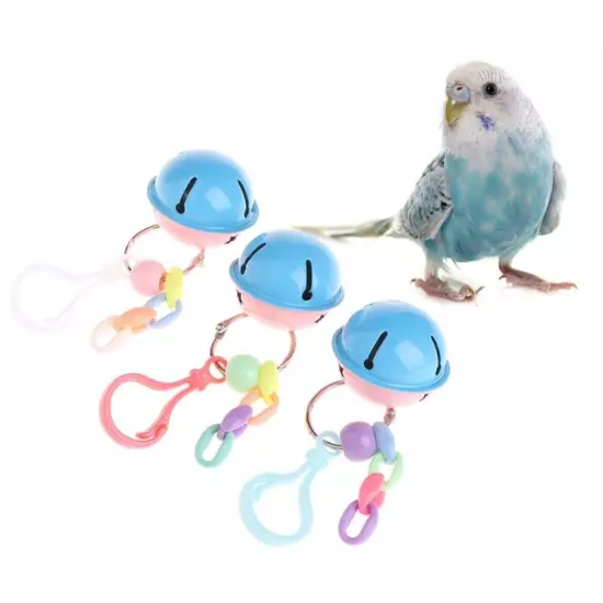 Parrot Toy Colorful Swing Metal Hanging Cage Decor for Small Birds