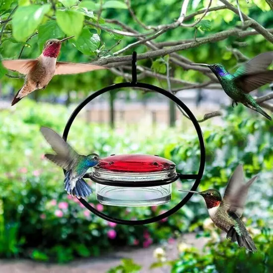 Beautiful Circular Hanging Bird Feeder,Leak Proof Circular Hanging Bird8777