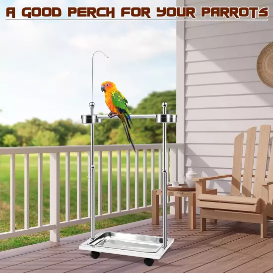 Bird Stand Metal 21.65 X 15.35 27.95 Parrot Adjustable Height Perch Stainless