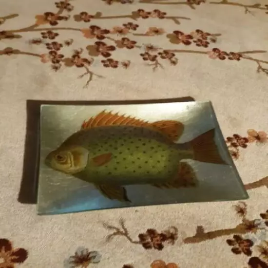 13" X 10 " pan Fish Glass Dish / Plate / tray