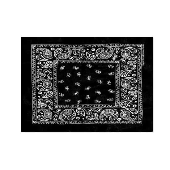 108 Pack Unisex Wholesale Paisley 100% Cotton Double Sided Print Bandanas Bulk