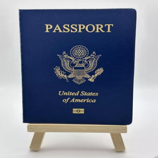 Countries Passport Simulation Movie Props Mini Notebook Novelty Dairy Planner