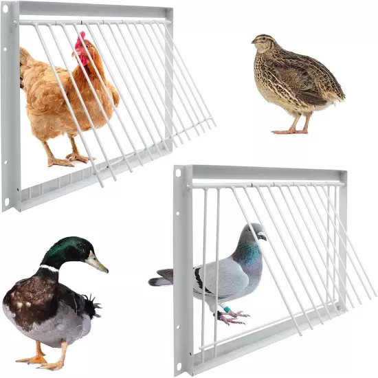 11.8In/30Cm Pigeon Cage Door One Way Entrance Door Bird T Trap Birdcage Iron Wir