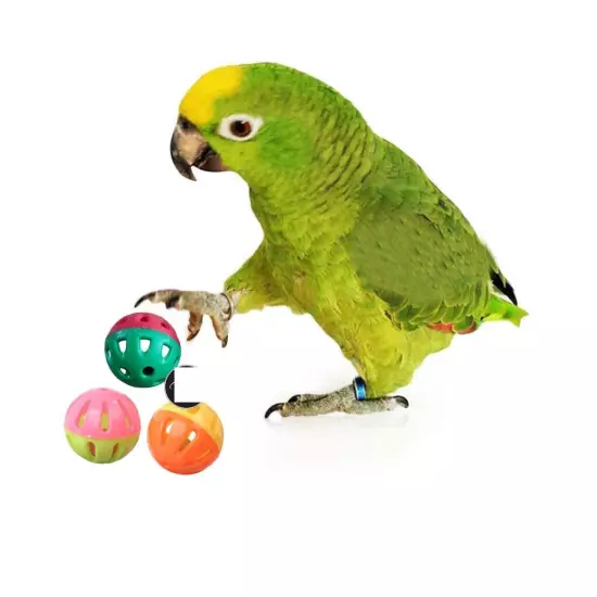 Bird Interactive Bell Ball Bird Toy for Parakeet Cockatiel, Budgerigar, Parrot