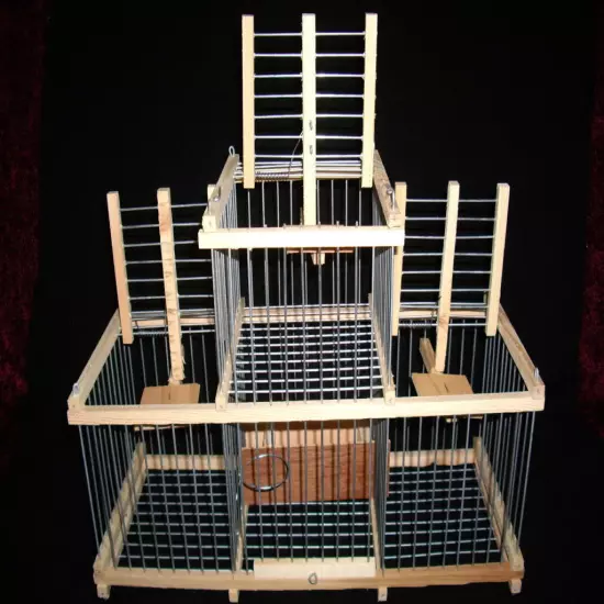 Trap Cage with 3 Traps for birds