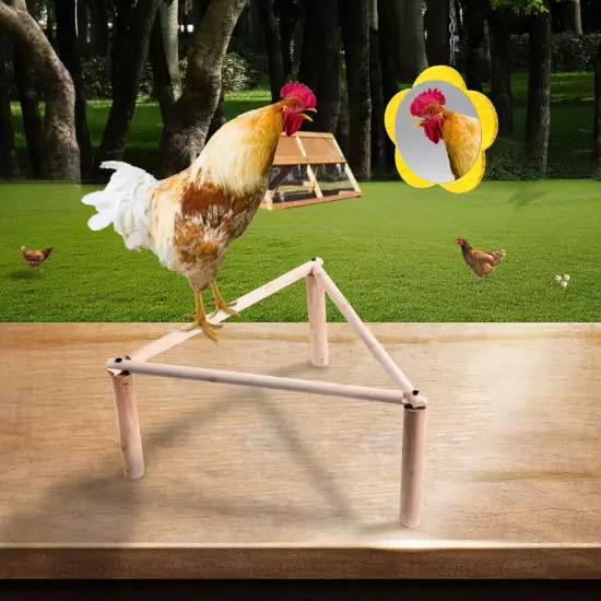 Chicken Perch Strong Pine Wooden Chick Jungle Gym Roosting Bar, Training Perc...