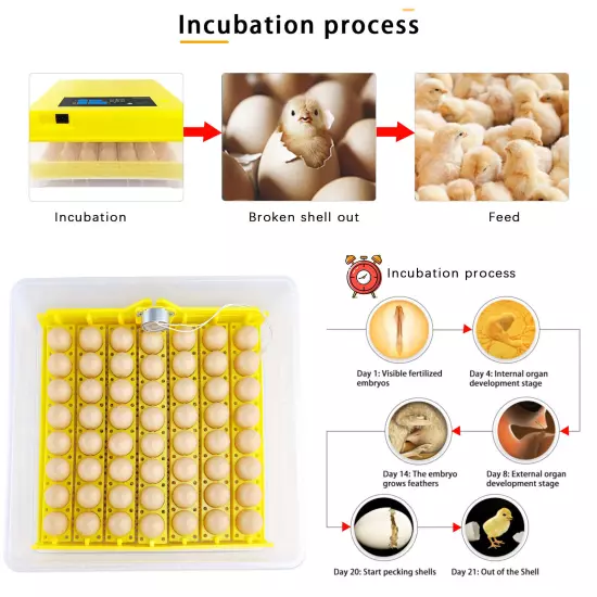 48/56/96 Digital Eggs Incubator Egg Hatcher Temperature Control Automatic 80W