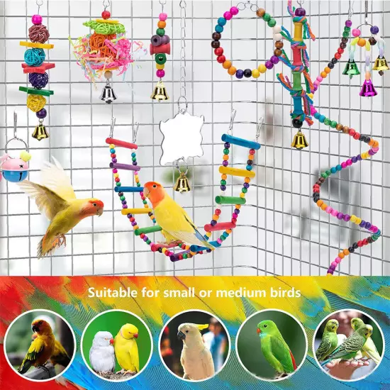 Parrot Toys Set Metal Rope Ladder Takraw Ball Ring Colorful Bell Training Toy