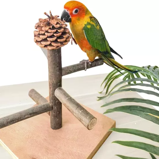 Bird Perch Stand, Portable Tabletop Bird Play Stand Parrot Training Perch 