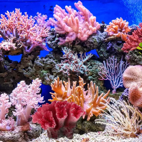 Fake Coral Decor - Aquarium Decorations Fish Tank Decorations Artificial Poly...