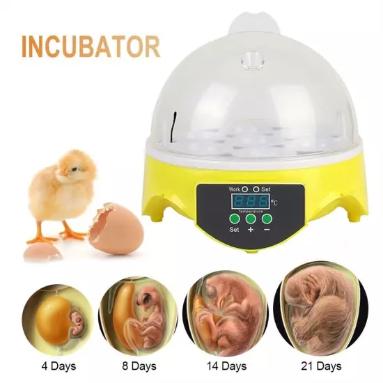 Poultry Egg Incubator with 7-Egg Capacity for Chicken & Duck Hatching