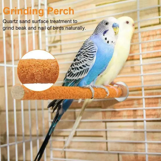 Parrot Paw Grinding Perch Stand Pet Quartz Bird Branch Budgie Chewing Shelf G6B5