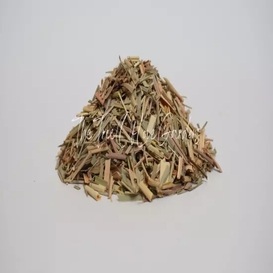 Lemongrass | Lemon Grass Tea | Cymbopogon citratus