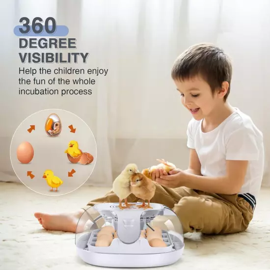 16-35 Eggs Incubator w/Automatic Water Top-up,Auto Turning,Egg Candler 360°View~