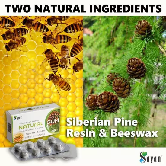 Best Natural Pine Tree Chewing Gum Siberian Larch Resin Beeswax No Sugar 0.45 oz