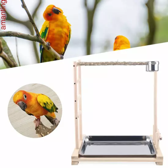 Parrot Wood Stand Game Playing Stick Frame Stick Frame Bird Training Tree Toy 