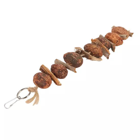 Nuts Parrot Toy Relieve Boredom Hanging Bird Bark Chewing String Toy For Pets