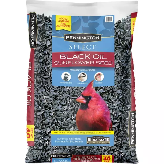 Pennington Select Black Oil Sunflower Seed Dry Wild Bird Feed, 40 lb. Bag