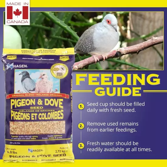 Hagen Pigeon & Dove Seed, Nutritionally 6 Pound (Pack of 1), Original version