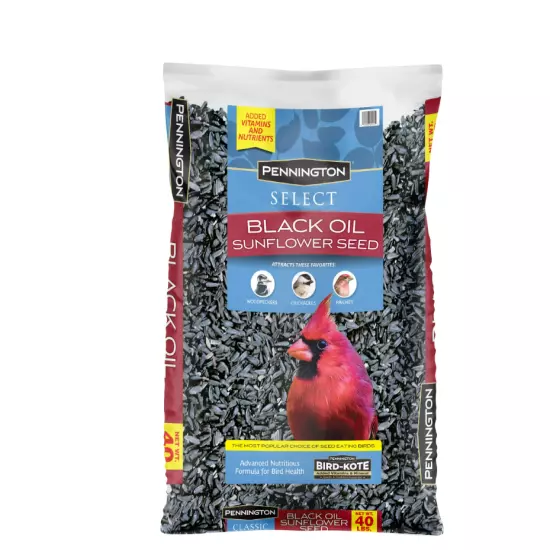 Pennington Select Black Oil Sunflower Seed Dry Wild Bird Feed, 40 lb. Bag, 1 Pac