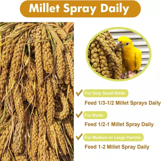 Jmxu'S 1LB Spray Millet Treat for Birds Parakeets, Natural Sun-Dried Birds Mille