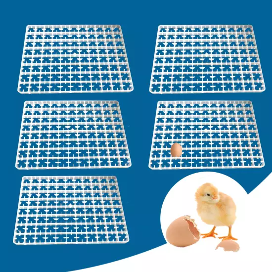 5pcs 440 Egg Tray for Automatic Hatcher Automatic Breeding Machine Incubator