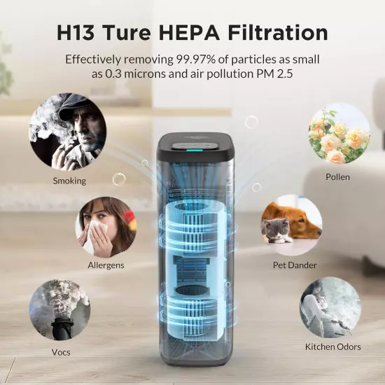 Air Purifier For Home Large Room HEPA Washable Filter Air Cleaner Smoke Odor Pet