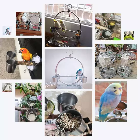 Bird Feeding Cups - Parrot Food Dish Stainless Steel Parrot Feeders Water Cag...