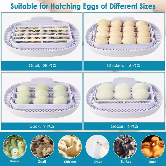 16 Egg Incubator Digital Control Automatic Turning Humidity Chicken Temperature