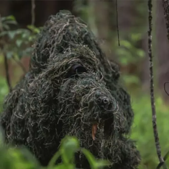 Arcturus Ghost Ghillie Suit | Super-Dense Woodland Hunting Camo