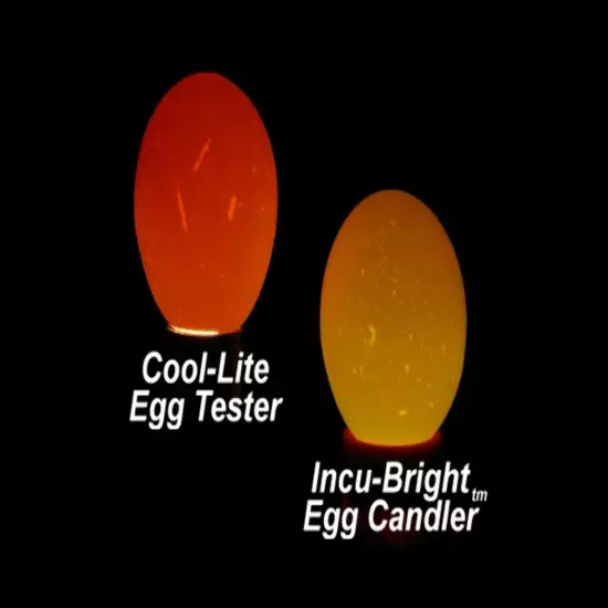 Incu-Bright™ Cool Light Egg Candler & Tester | 9 LED | Ultra Bright and Compact