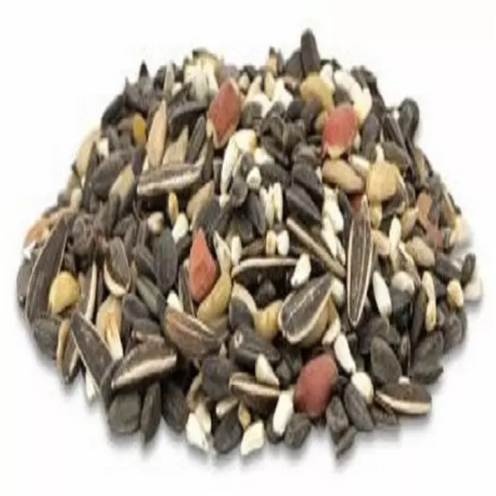 Royal Wing 12094 Animals & Pet Supplies 14 Pounds Songbird Blend Wild Bird Food