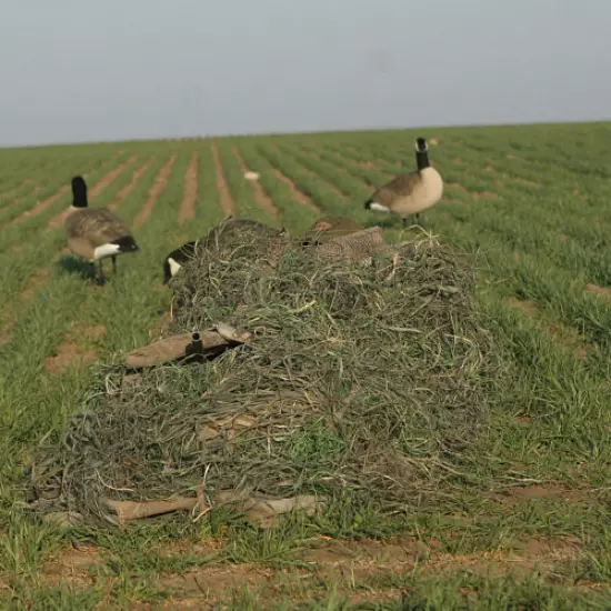 *10 LB. Avery Greenhead Gear Killer Weed Goose Blind Kit Winter Wheat Killerweed