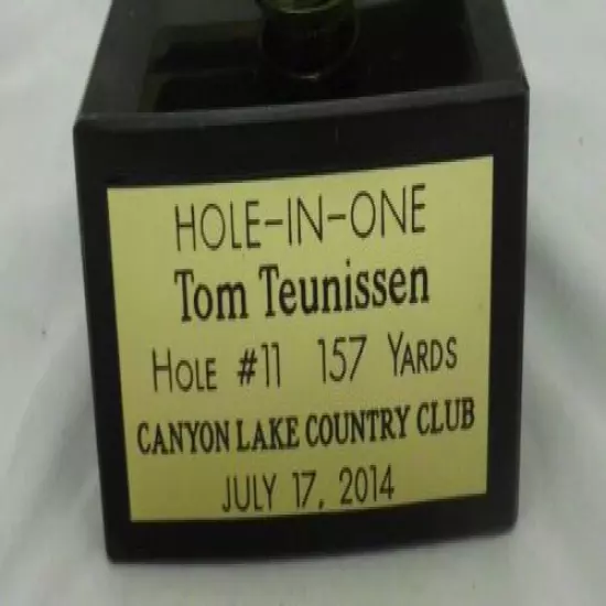 HOLE IN ONE GOLF TROPHY AWARD PLAQUE HOLDS GOLF BALL FREE ENGRAVING free ship