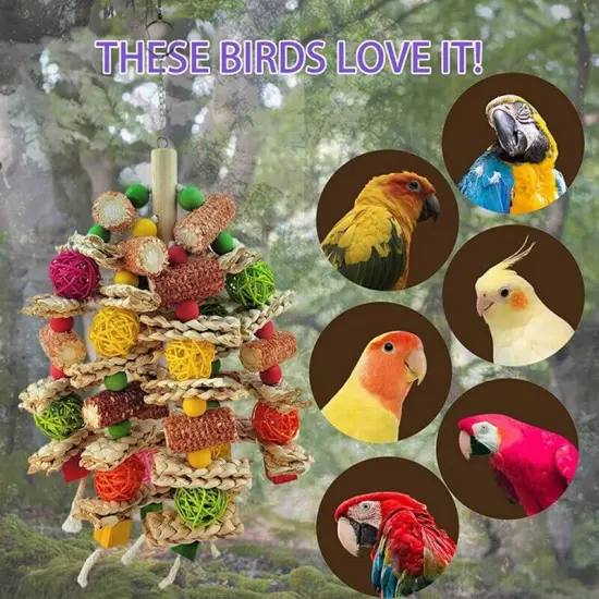 Parrot Toys Bird Toys for Small and Medium-Sized Macaws,African Grey5328