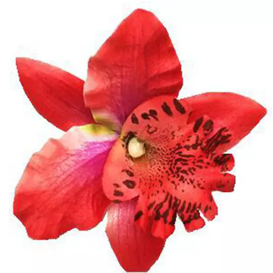 Womens Orchid Flower Wedding Bridal Hair Clip Hairpin Brooch Pin Party Barrette✔