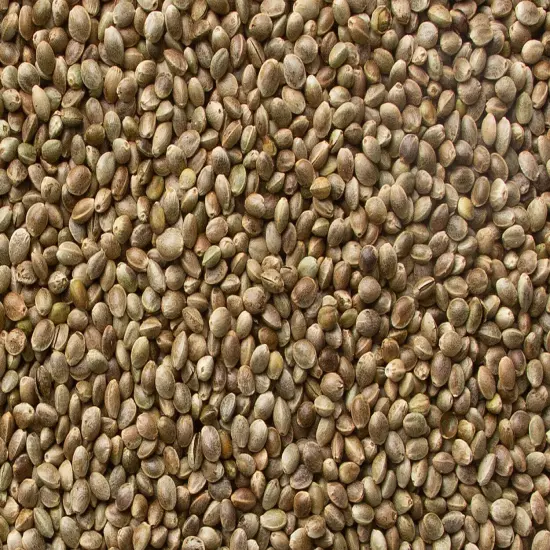 Royal Feeds Hemp Seed - Loved by most Wild and Exotic Seed-Eating Birds (4 lbs)